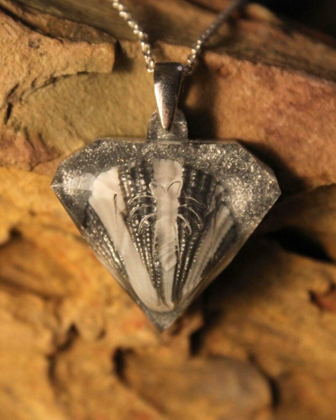 Silver Pirave Diamond - Striped Shell