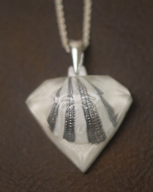 Galaxy White Pirave Diamond - Striped Shell