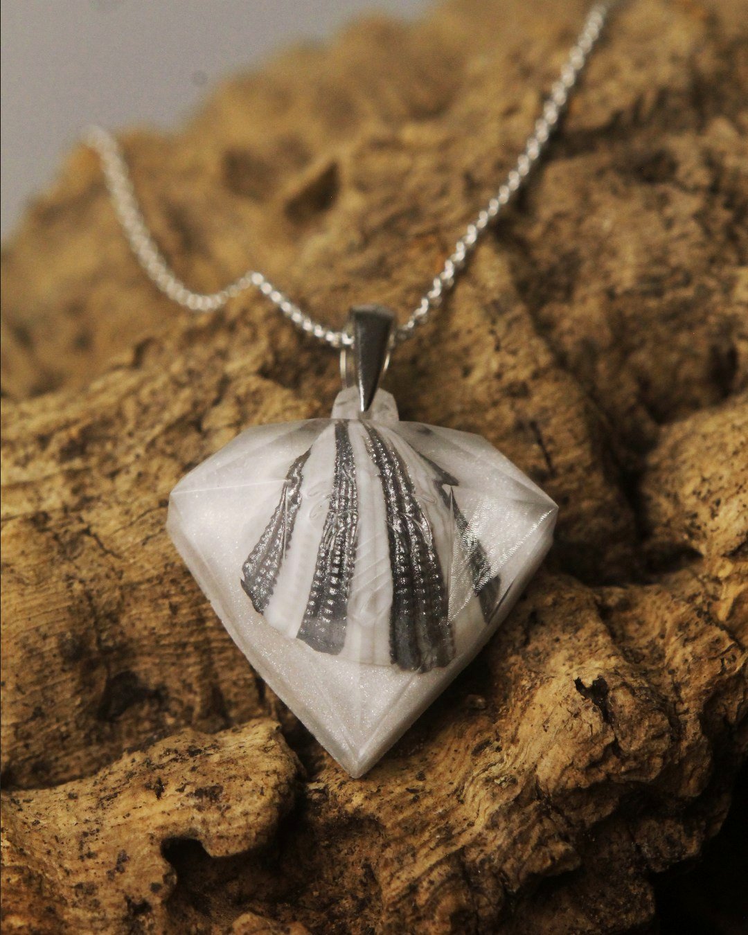 Galaxy White Pirave Diamond - Striped Shell