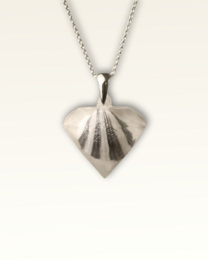 Galaxy White Pirave Diamond - Striped Shell