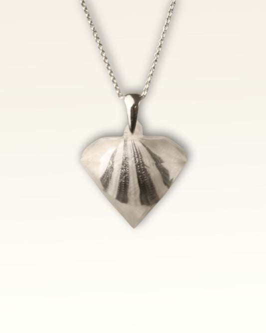 Galaxy White Pirave Diamond - Striped Shell